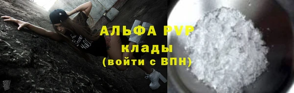 шишки Богородицк