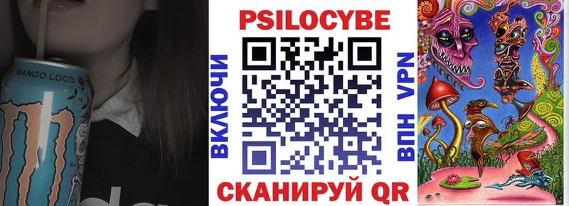 mega tor  Улан-Удэ  Псилоцибиновые грибы Psilocybe 